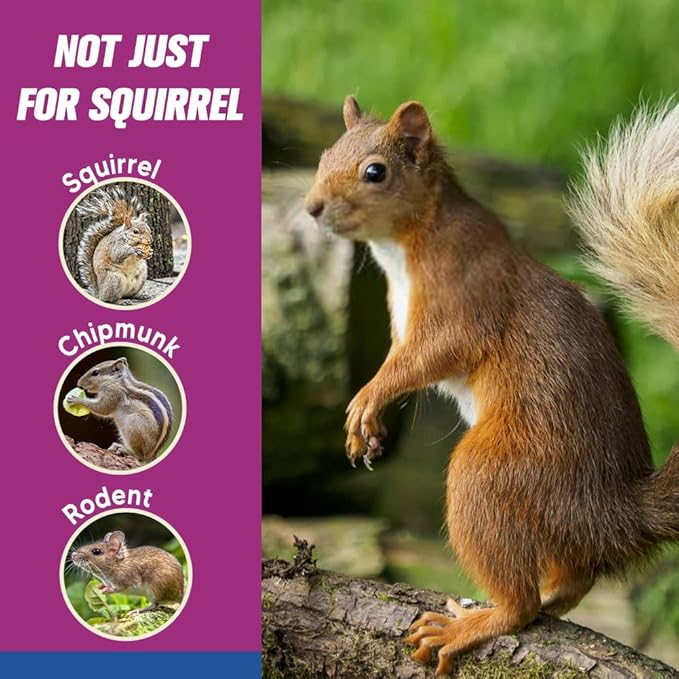 Squirrel Repellent Outdoor, Squirrel & Chipmunk Repellent, Squirrel Repellent for Garden, Keep Squirrels Out of Potted Plants, Lasting for 60-90 Days, 8 Packs