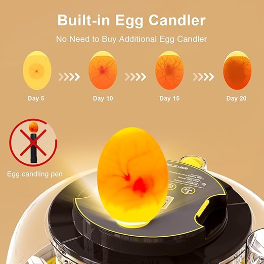 IBKINXX Incubator for Hatching Eggs-18 Egg Capacity, 2026 Newly Upgraded Automatic Egg Turner, Temperature & Humidity Control, 360° Viewing for Chicken, Duck and Quail Eggs (Black)