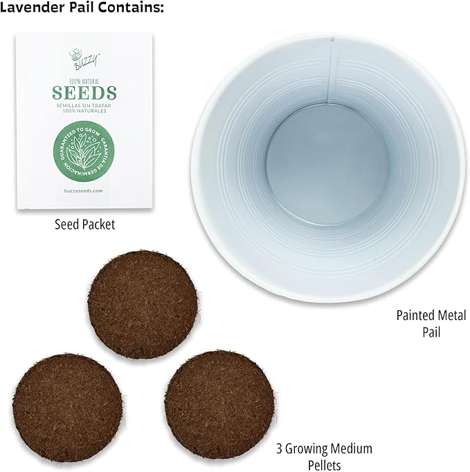 BUZZY Seeds Love Pails Grow Kit, 2-Pack – Valentine’s Day Mini Garden Gift with Colorful Pails, Mini Rose & Lavender Seeds, Growing Medium Included, Indoor Starter Seed Kit