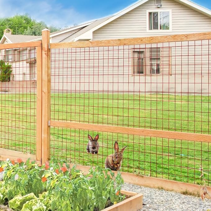 Red PVC Coated Welded Wire Fence 24 Inch x 50 Foot, 2 Inch x 3 Inch 16GA, Garden Border Fencing Roll Vinyl Coating Metal Wire Mesh for Yard Vegetable Plant Protection Poultry Netting