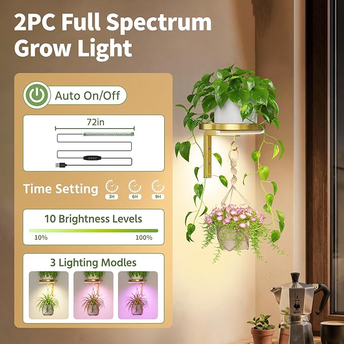 LASZOLA Plant Hangers Shelves Wall Mounted Indoor with Grow Lights, Metal Window Plant Holders, 2Pcs Modern Floating Flower Display Stand with 2 Hooks for Outdoor Kitchen Bathroom Decor, Gold