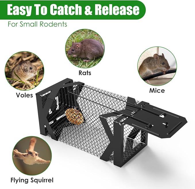 TeqHome 2 Pack Humane Rat Trap, Small Live Chipmunk Trap That Work for Indoor & Outdoor, Easy to Catch & Release, Live Animal Traps Mouse Cage Traps Reusable for Small Rodents Mice Voles Hamster,Black