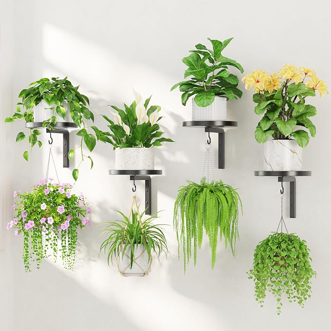 LASZOLA Plant Hangers Shelves Wall Mounted Indoor, Metal Window Plant Holders, 4Pcs Modern Floating Flower Display Stand with 4 Hooks for Outdoor Kitchen Bathroom Decor, Black