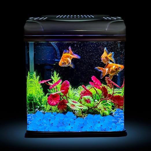 NAMTSO Glow in The Dark Rocks Outdoor, 200 pcs Blue Solar Rocks for Landscaping, Outdoor Decor Glow in The Dark Stones, Glowing Pebbles for Garden Backyard Patio Lawn Pond Fish Tank Aquarium Decor