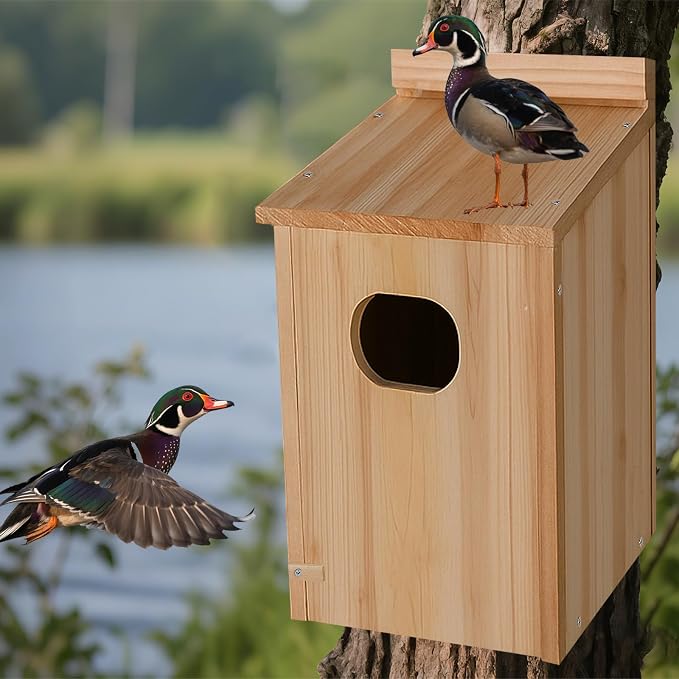 Duck House - Wood Duck Houses for Outside, Duck Nesting Box Outdoor Shelter for Pond, Wetland Ducks and Hooded Mergansers 17x10x10 Inches