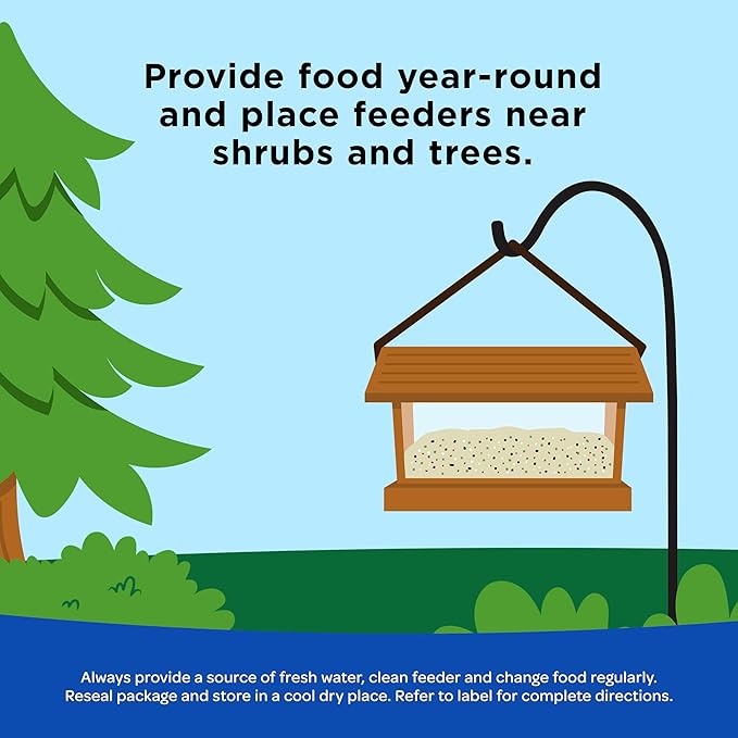 Kaytee Shelled Peanuts for Cardinals, Blue Jays, Woodpeckers and Other Outside Wild Birds, 11 Pounds