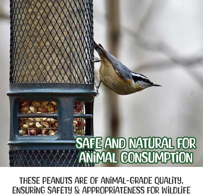 Sneaky Mango Raw Peanuts in Shell - 2 Pounds – All-Natural Food for Squirrels, Deer, Birds, and Other Wildlife Animals – Grown in The USA for Healthy Nutrition