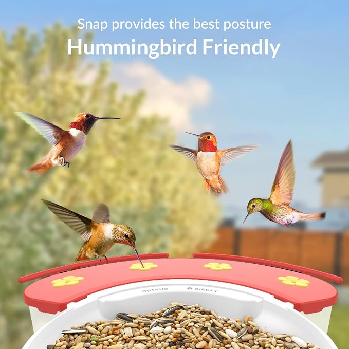NETVUE Hummingbird Feeder Perch, Compatible with Birdfy, Attract Hummingbirds, 18.3 oz Capacity, 2 in 1 Bird Feeder, Ideal Gift for Hummingbird Lovers
