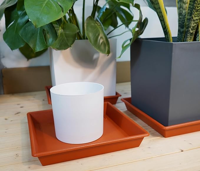 NIMYAU Square Plant Saucer 14 Inch 5 Pack，Plant Stand Plant Trays for Pots Heavy Duty Plastic Plant Saucers for Indoors Outdoors, Flower Pot No Holes Terracotta Plant Lover Gardening Gifts