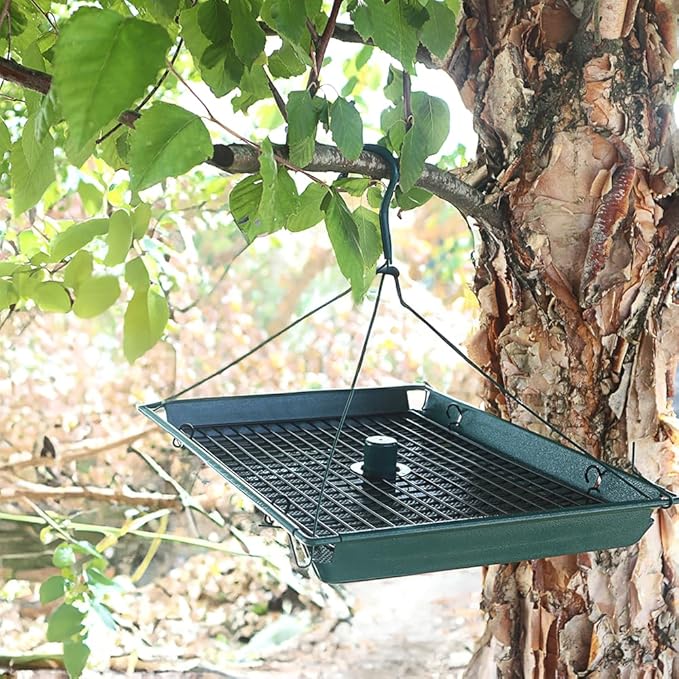 Zenport Z203009 2-in-1 Platform Bird Feeder, Green - 6 Pack