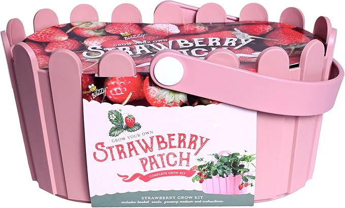 Buzzy Seeds Strawberry Grow Kit Pink Picket Fence Berry Basket with Grandian Seeds, Indoor Planting Starter Kit, DIY Garden Project, Gardening Gift for Women