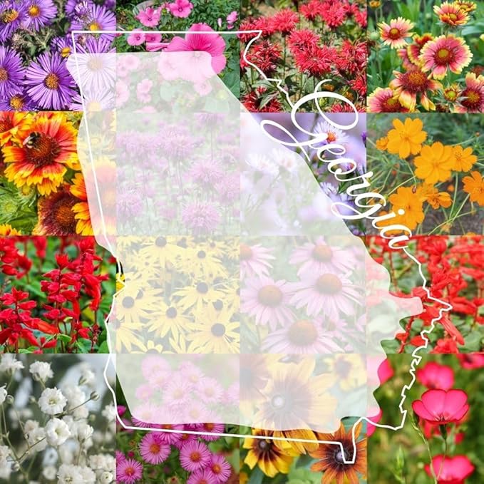 Georgia Bulk Perennial Wildflower Seed Mix 1lb Covers 2,000sq-ft - Attract Pollinators, Multi-Color Blooms - Southeast Species Plant Spring/Fall, Earth-Friendly Packaging (1/8 Pound (2 Ounce))