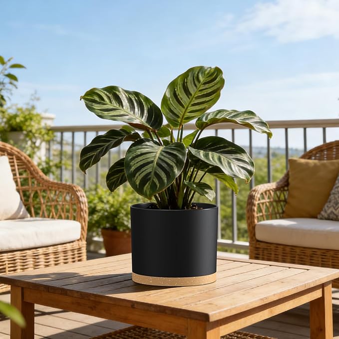 Plant Pots, 10/9/8 Inch 3 Pack Cylindrical Flower Pots with Drainage Holes and Saucers, Plastic Planters for Outdoor Indoor Plants,Black Brown