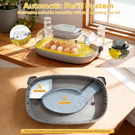 IBKINXX Incubator for Hatching Eggs-24 Egg Capacity, Automatic Egg Turner, Temperature & Humidity Control, 360° Viewing for Chicken, Duck and Quail Eggs