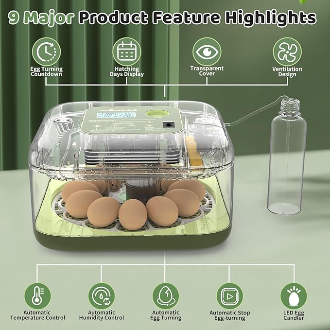 Incubators for Hatching Eggs 12 Egg Digital Egg Incubator Precision Auto Temp Humidity Control 6 Gear Adjustable Auto Turner Auto Stop Turning Hatching Days Display for Chicken Duck Goose Eggs (Green)