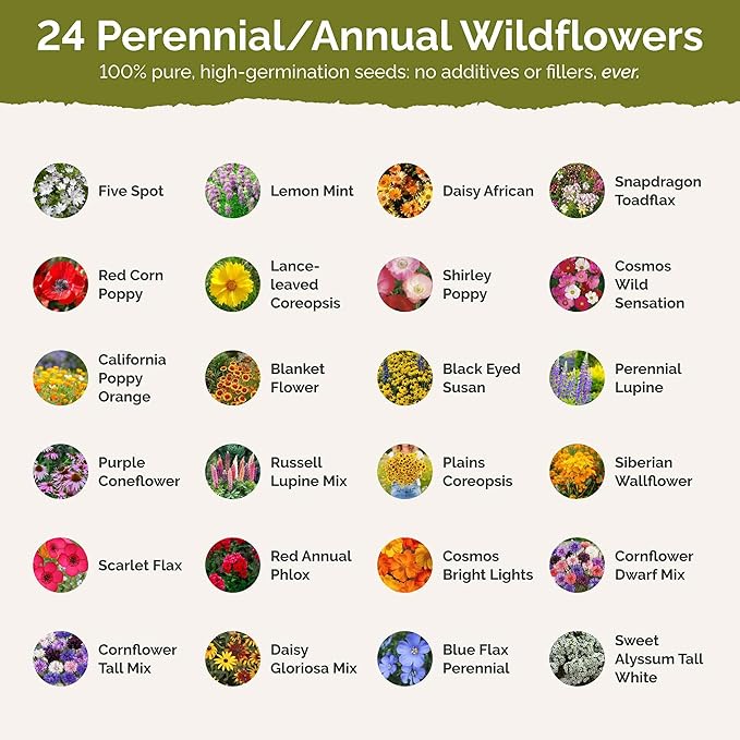 Eden Brothers Louisiana Wildflower Mixed Seeds for Planting, 1 oz, 30,000+ Seeds with Lupine, African Daisy | Attracts Pollinators, Plant in Spring or Fall, Zones