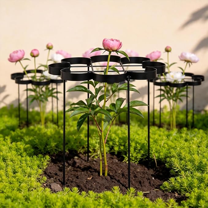25" Peony Cages and Supports - Elegant Black Modern Flower Support Stakes for Peonies & Dahlias - Designed for Stability & Growth - Perfect for Gardens & Patios