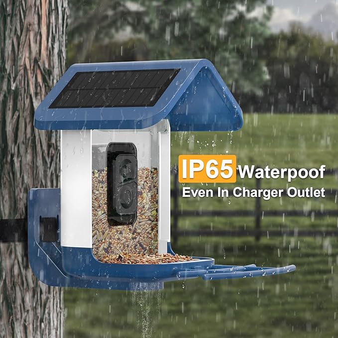 Bird Feeder with Camera Solar Powered : Smart Camera Bird Feeder 2K Live Feed Cam for Outdoor Backyard - Ai Identify Auto Capture Videos Pictures, Gifts for Birdlover Mom Dad, 2.6GHz WiFi