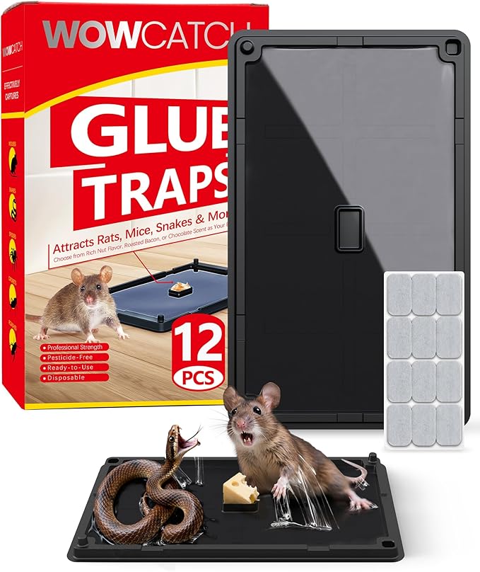 Wowcatch Rat, Snake and Mouse Traps 12 PK, Large Bulk Sticky Glue Traps Indoor for Home Pre-baited, Pet Safe Rodent Catcher for Garage, Kitchen, Catches Roaches, Spiders, Lizard, Non-Toxic, Large