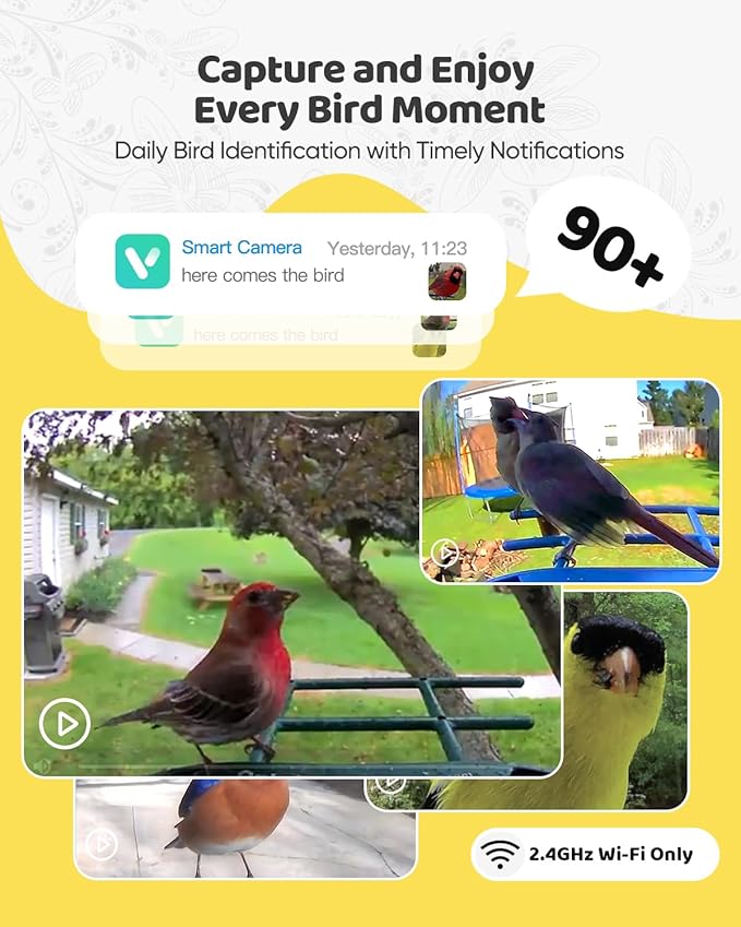 Bird Feeder with Camera Solar Powered : Smart Camera Bird Feeder 2K Live Feed Cam for Outdoor Backyard - Ai Identify Auto Capture Videos Pictures, Gifts for Birdlover Mom Dad, 2.4GHz WiFi