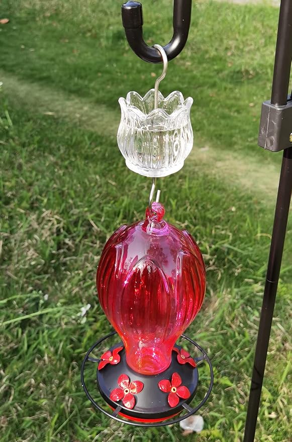 Glass Ant Moat for Hummingbird Feeder - 2PC x 3 OZ Clear Tulip Insect Guard with Large Capacity