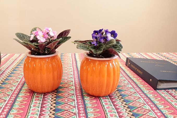 Cornasee 4" Pumpkin Planter Self Watering Pot for Halloween Decor, 4-Pack Small Plastic Planters for Indoor Plants,Flowers,Succulent,African Violets (Orange, 4")