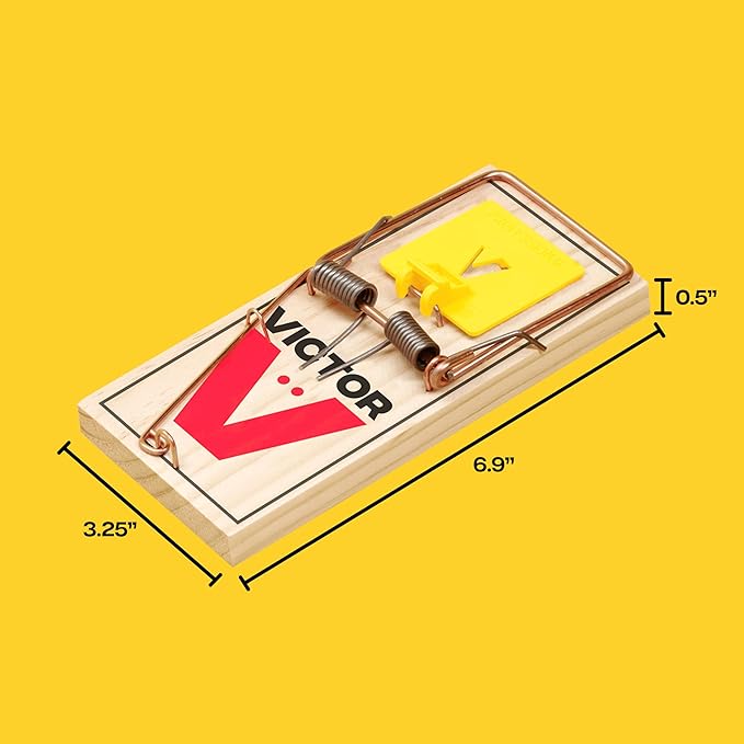 Victor M205 Wide Pedal Humane Snap Rat Traps Indoor for Home, Plastic Pedal, Sustainably Sourced FSC Wood - 12 Wooden Traps