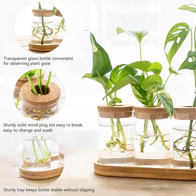 Dahey 3 Pcs Metal Hanging Flower Pots and Plant Propagation Station for Indoor Plants Tabletop Home Office Garden Yard Decor