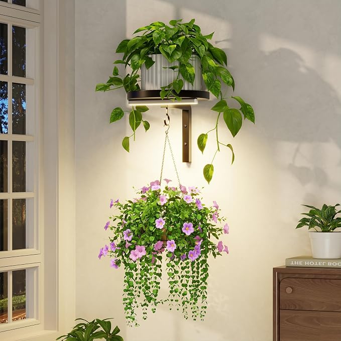 LASZOLA Plant Hangers Shelves Wall Mounted Indoor with Grow Lights, Metal Window Plant Holders, 1Pcs Modern Floating Flower Display Stand with Hook for Outdoor Kitchen Bathroom Decor, Black
