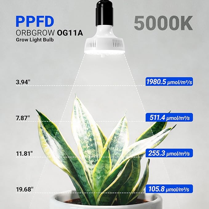 Barrina Orbgrow OG11A3 Clip On Grow Lights for Indoor Plants, Integrated Stepless Dimming & Timing, 5000K 33W(3 x 11W, 300 Watt Equiv), Full Spectrum 3-Gooseneck with E26 Plant Light Bulbs