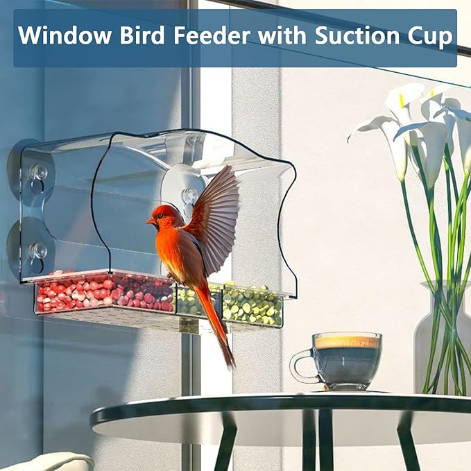 Window Bird Feeder Viewing Box - 10x6 Inches Clear Bird Feeder for Window with 4 Strong Suction Cups, 3 Compartment Trays, Birdfeeders Outside Hanging for Cardinal, Robin, Blue Jay