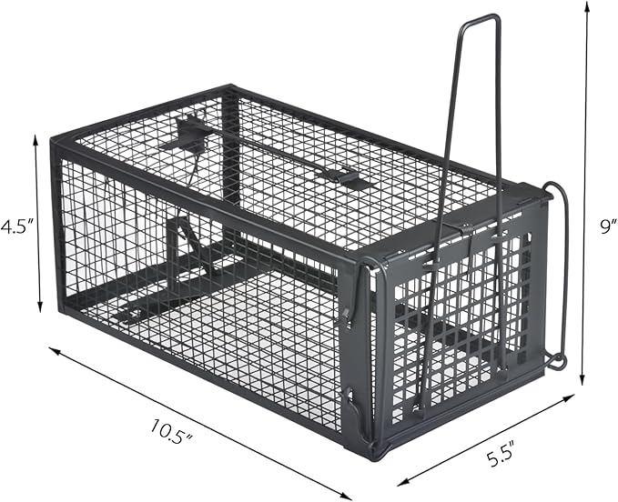 Gingbau 2-Pack Chipmunk Rat Traps Humane Live Mouse Trap Cages