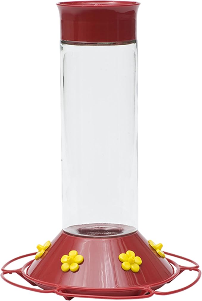 Perky-Pet 209B Our Best Glass Hummingbird Feeder, Red, 30 OZ & 100056728 238 Hummingbird Nectar, 32-Ounce Concentrate, Red