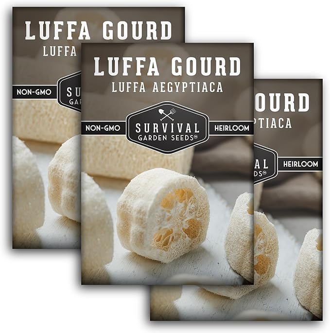 Survival Garden Seeds - Luffa or Loofah Seed for Planting - 3 Packets with Instructions to Plant and Grow Ornamental Gourds in Your Home Vegetable Garden - Non-GMO Heirloom Variety