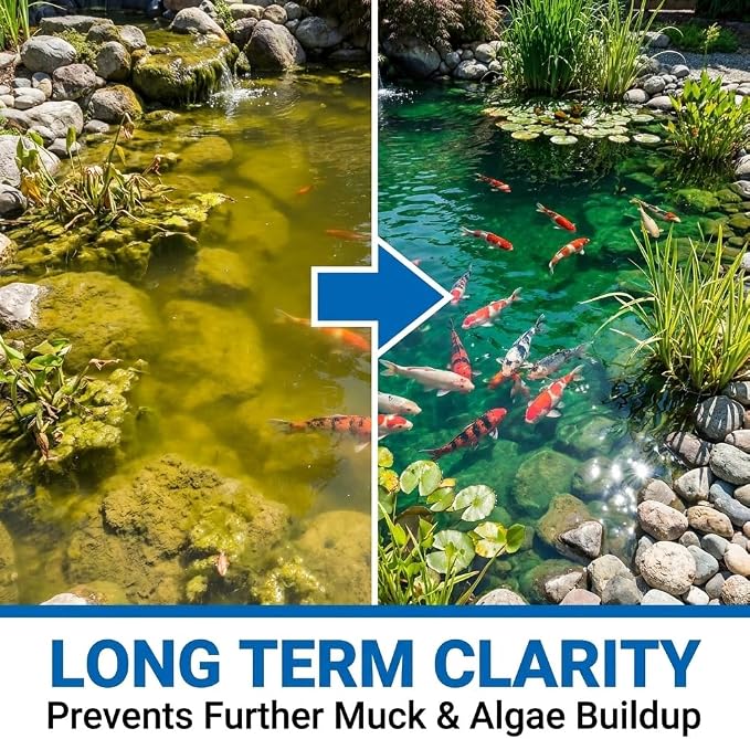 Aqua Guardian Pro Formula for Pond, Long-Lasting Clean Water, Easy to Use, Fish, Pets & Plants Safe (1 Pack, 100 g/Pack)