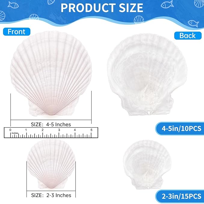 25PCS Large Scallop Shells for Crafts, 10PCS 4-5in & 15PCS 2-3in Natural Sea Shells for Painting, White Seashells Bulk for DIY Crafting, Decorating, Baking, Ocean Themed Party Supplies(2 Sizes Range)