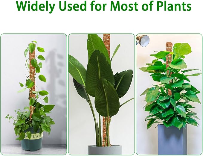 4 Pack Moss Pole, 63-Inch Moss Poles for Plants Monstera,Bendable Plant Support Stakes for Climbing Plants Indoor, Garden Trellis Plant Stick for Potted Plants, Pothos Philodendron
