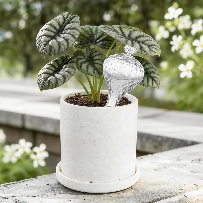 12 oz Plant Watering Globes, Clear Glass Self Watering Bulbs Top Fill with Terracotta Spikes Stake, Self Watering Planter Insert Vacation Automatic Plant Waterer Device for Indoor & Outdoor 2Pack