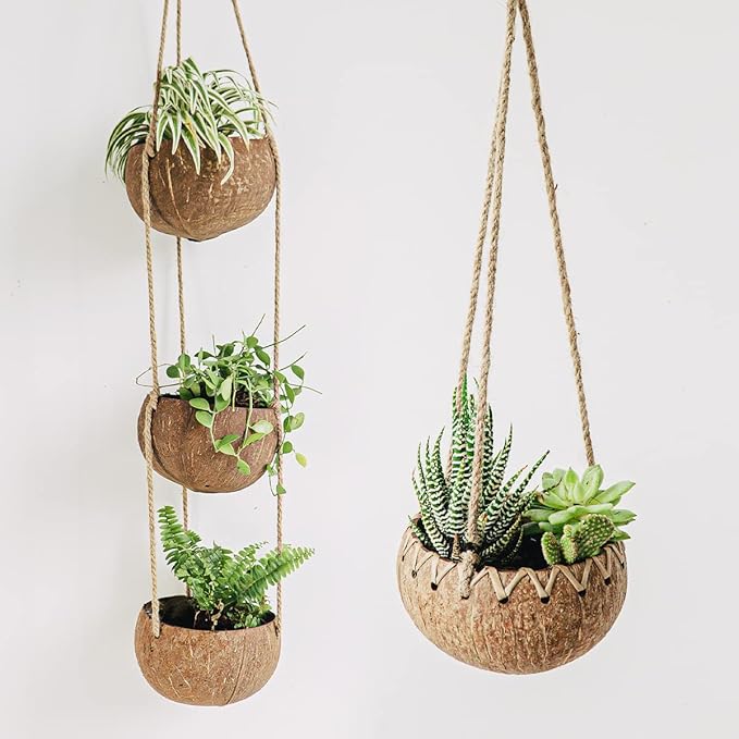 Rainforest Bowls Set of 2 3-Tier Hanging Coconut Planters w/Drainage - Perfect for Succulents, Flowers, Small Plants, Indoor & Outdoor Gardens- Handcarved by Artisans, Eco-Friendly & Sustainable