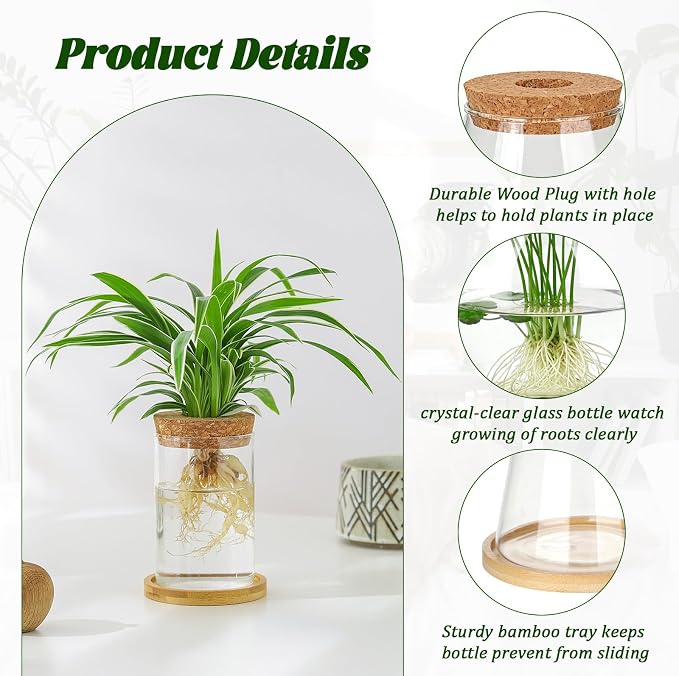 6 Pcs Plants Propagation Stations Glass Planter Terrariums with Wooden Lid and Bamboo Stand Desktop Propagation Vases Jars for Plant Growing Hydroponic Home Office Tabletop Garden Decoration