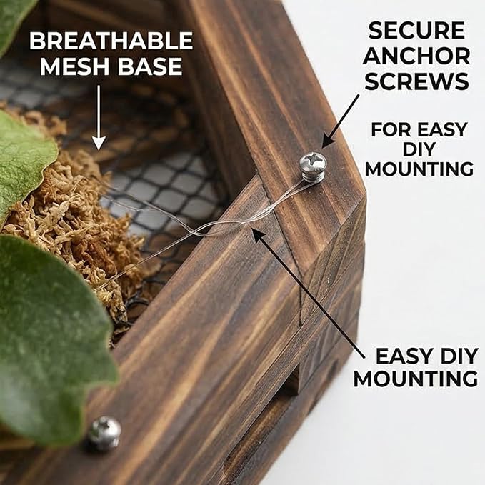 Staghorn Fern Mounting Kit - Wood Wall Planter for Orchids,Herbs & Indoor Plants | Hanging Plant Holder, Basket & Stand for Wall Decor(10.43inch)
