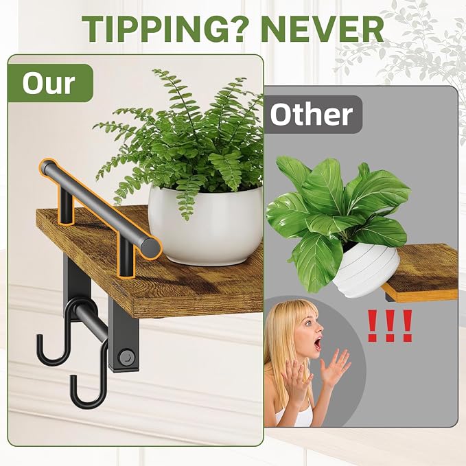 iDavosic.ly Wall Plant Display Set of 4, Floating Picture Frame Holder, 2-Tier Shelves with 4 Hooks, Metal Stand for Indoor Haning Home Decor Outdoor Space Saving (Pots/Chains/Plants Not Included)
