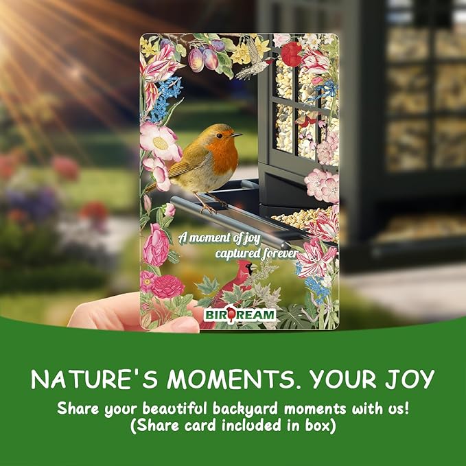 Birdream Bird Feeders for Outdoor Hanging, Assembly Required, 1-Min Easy Setup, Classic Courtyard Design, Attracting Cardinals Chickadees Goldfinches & Sparrows - Black