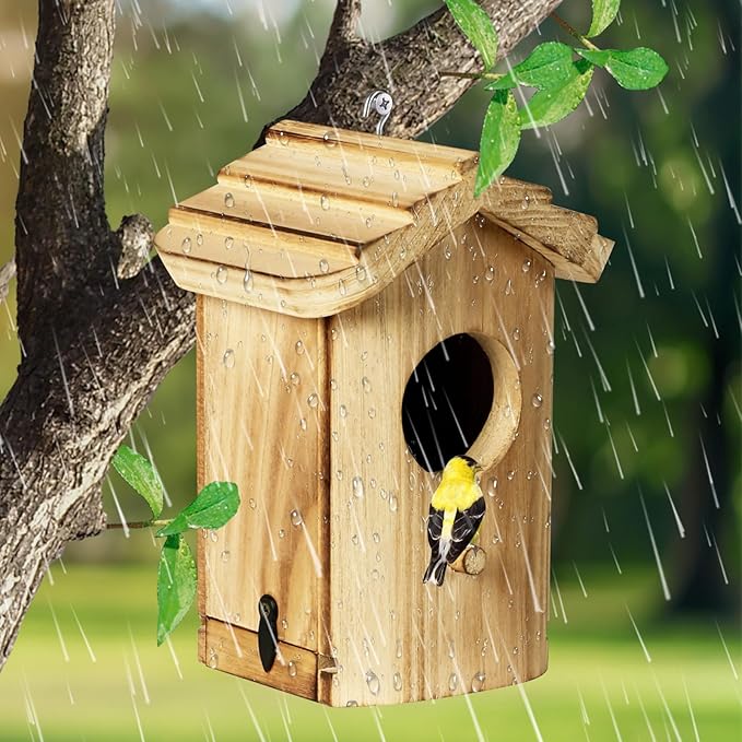 NATUREYLWL Wooden Hummingbird House, Small Birdhouse for Outside, Hanging Mini Bird House for Hummingbirds, Natural Solid Wood for Hummingbird Nesting (Dimensions 5.9 x 3.7 x 4.2 inch)