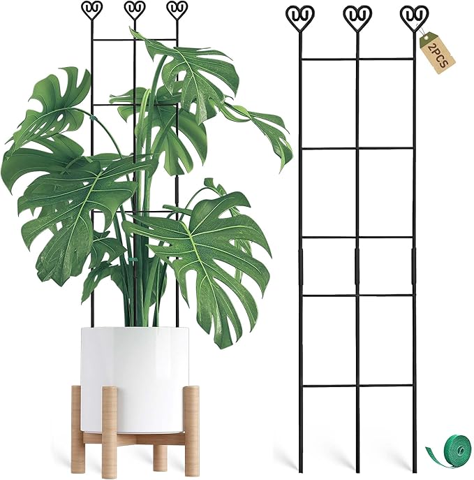 Coomin 2 Pack 32in Monstera Plant Support Stakes for Indoor Plants, Stackable Garden Trellis for Climbing Plants Indoor, Metal Plant Trellis for Potted Plants Pothos Philodendron