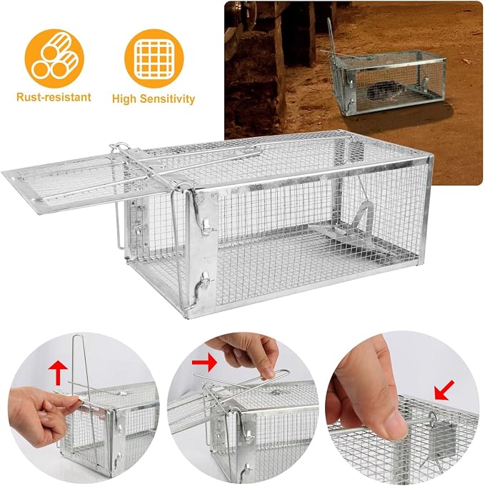 TeqHome Humane Rat Trap, 2 Pack Small Live Chipmunk Trap That Work for Indoor & Outdoor, Easy to Catch & Release, Live Animal Traps Mouse Cage Traps Reusable for Small Rodents Mice Voles Hamster