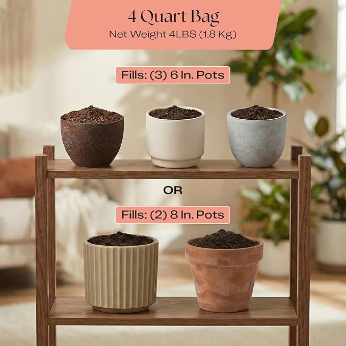 Rosy Soil Cactus and Succulent Organic Potting Soil Mix for House Plants - Fast Draining, Root Boosting, Peat-Free, Less Prone to Gnats - Drought-Tolerant -for AloeVera, Cacti, Indoor Succulents- 4qt