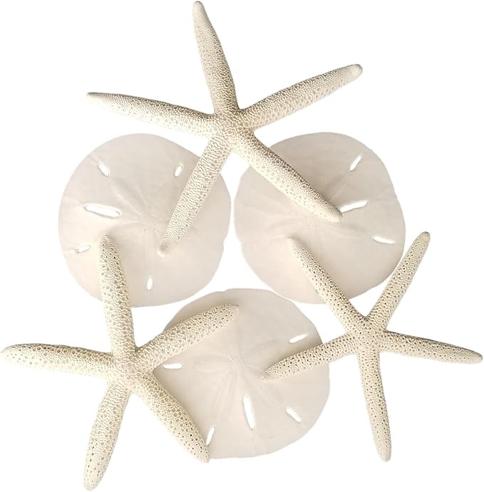 Tumbler Home Sand Dollars and Starfish for Crafts, 3 Real Starfish (4"-6") and 3 Sand Dollars (3"-3.5") in Bulk