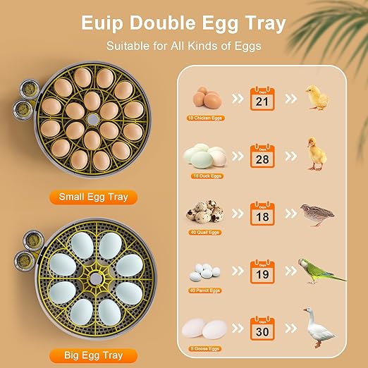 IBKINXX Incubator for Hatching Eggs-18 Egg Capacity, 2026 Newly Upgraded Automatic Egg Turner, Temperature & Humidity Control, 360° Viewing for Chicken, Duck and Quail Eggs (Black)