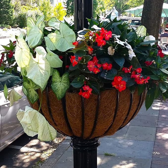 14 inch Coco Liner for planters, 2PCS Round Replacement Plant Basket Liners Coco Fiber Liner for Hanging Basket (14 inch Round)